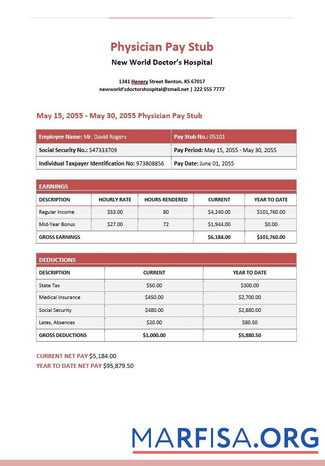 Blank New World Doctor’s Hospital Physician Pay Stubs example